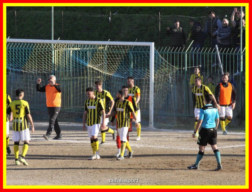 190310 Cephal_Torrenov 190_tn.jpg
